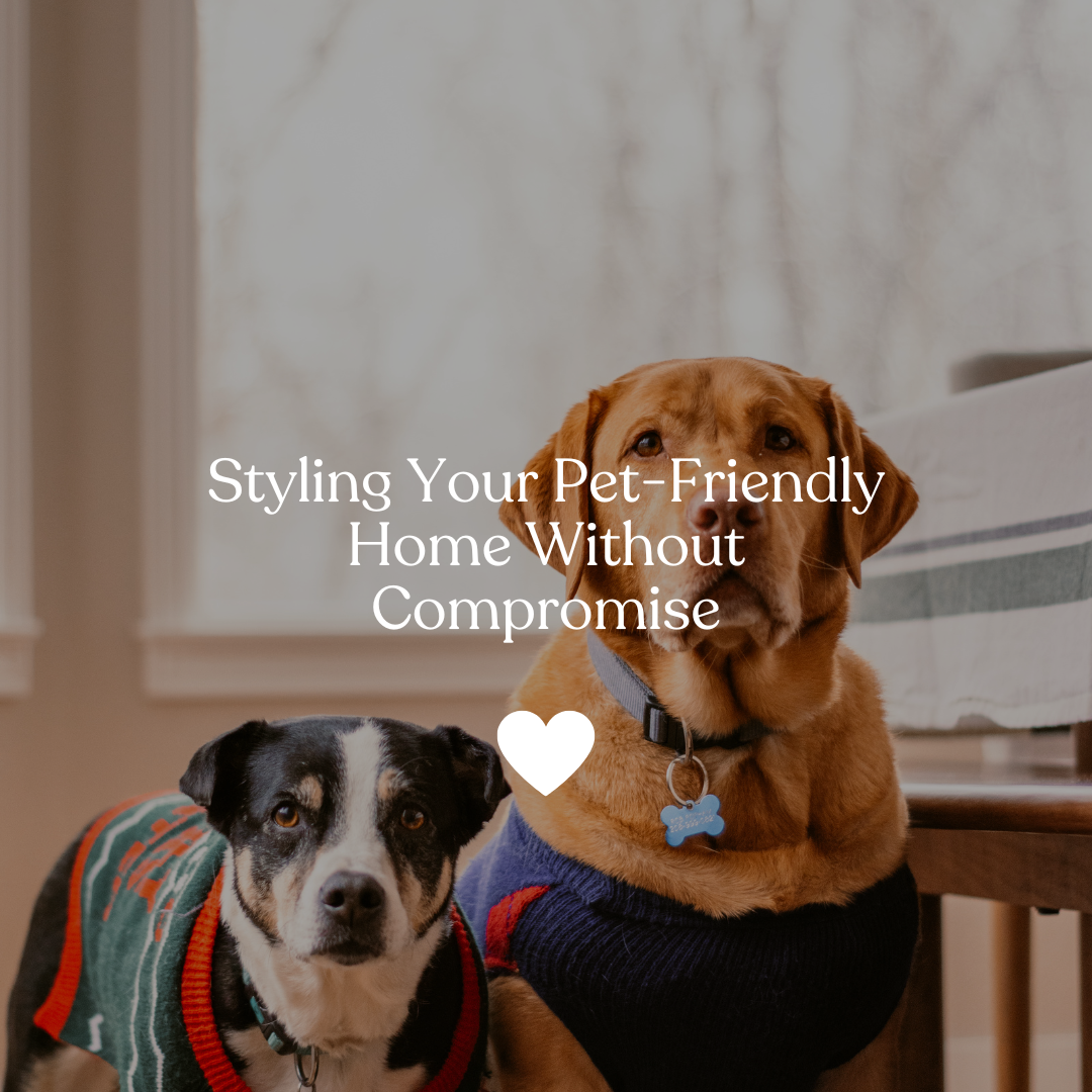 Styling Your Pet-Friendly Home Without Compromise
