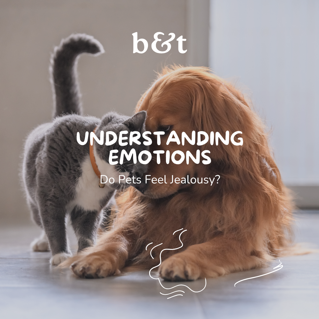 Do Pets Feel Jealousy?