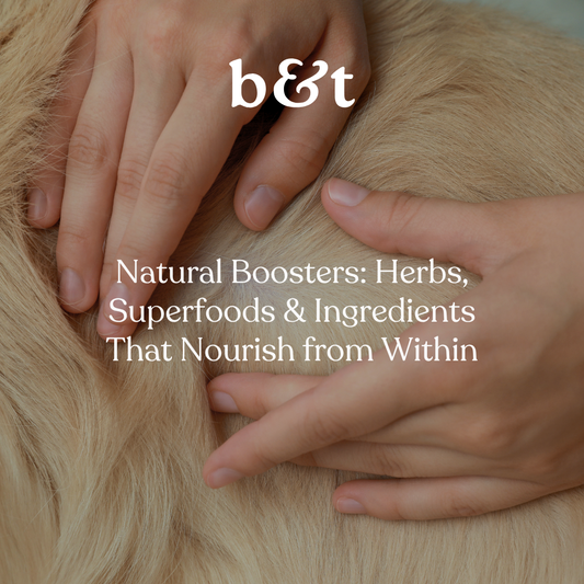 Natural Boosters: Herbs, Superfoods & Ingredients That Nourish from Within