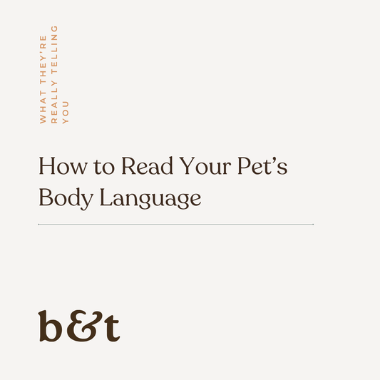 How to Read Your Pet’s Body Language