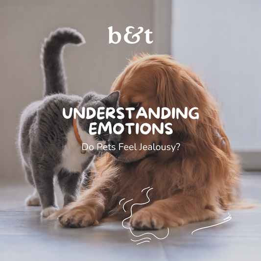 Do Pets Feel Jealousy?