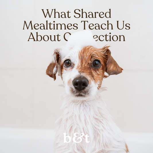 What Shared Mealtimes Teach Us About Connection