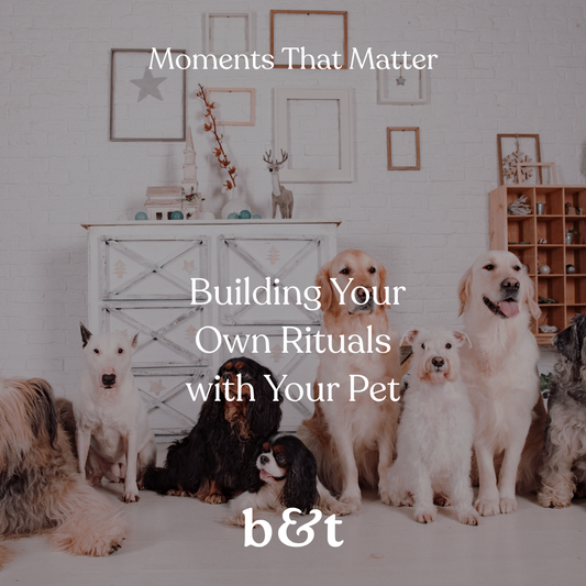 Moments That Matter: Building Your Own Rituals with Your Pet
