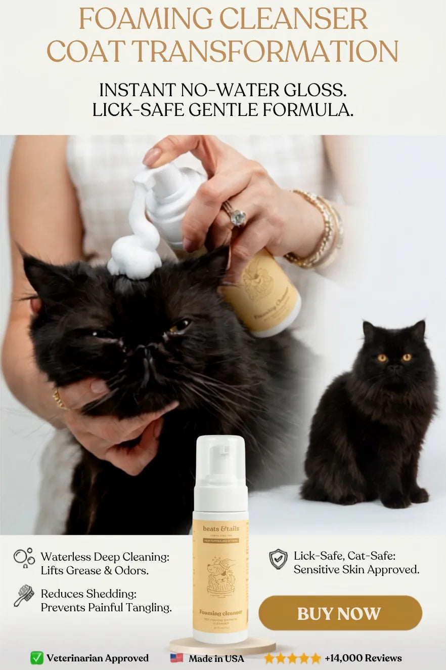 Foaming Cleanser