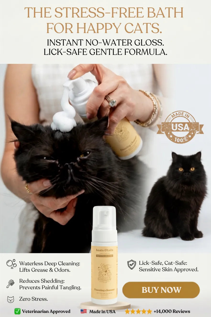 Foaming Cleanser