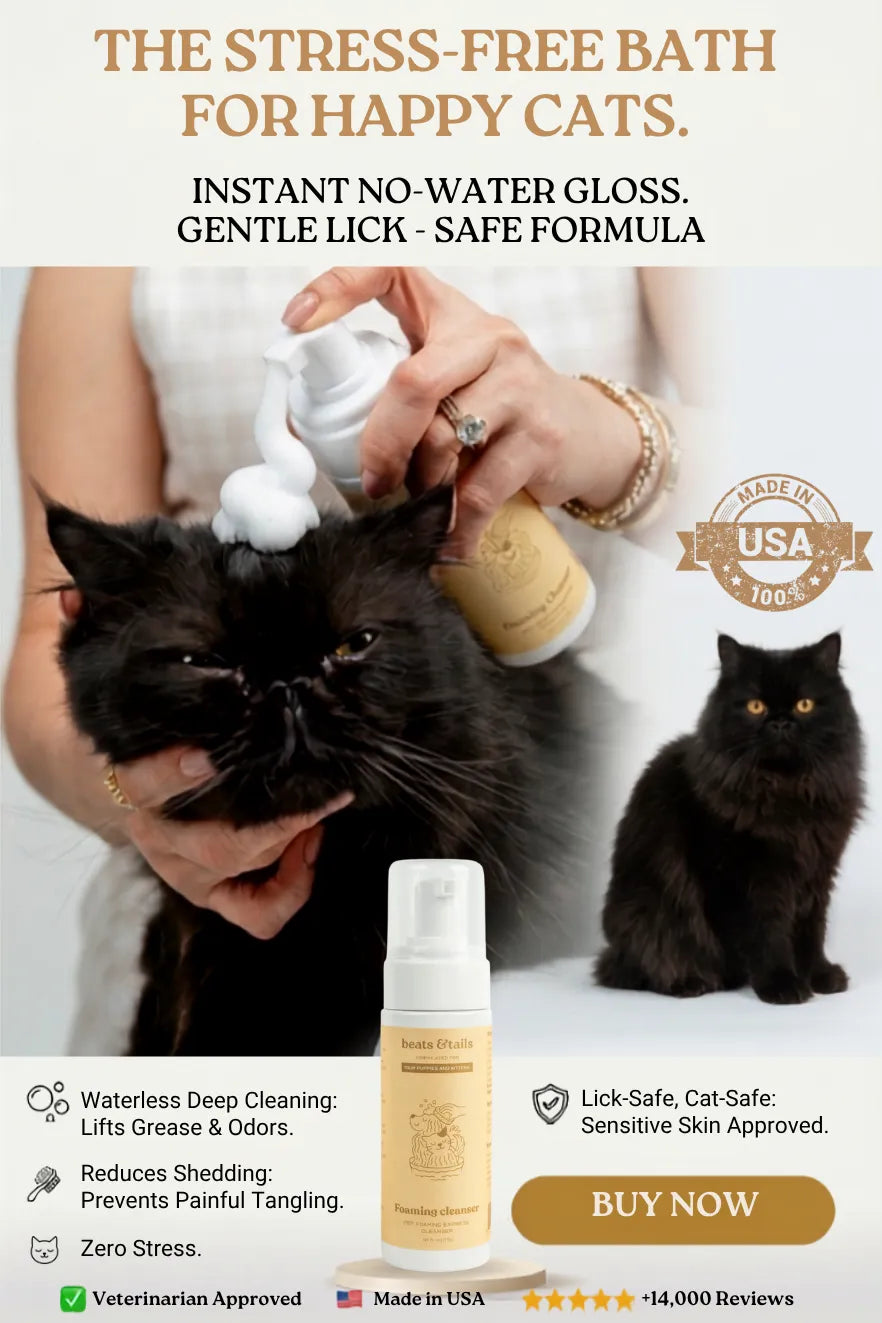 Foaming Cleanser