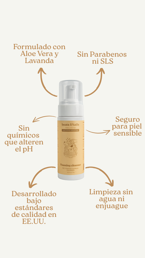 Foaming Cleanser