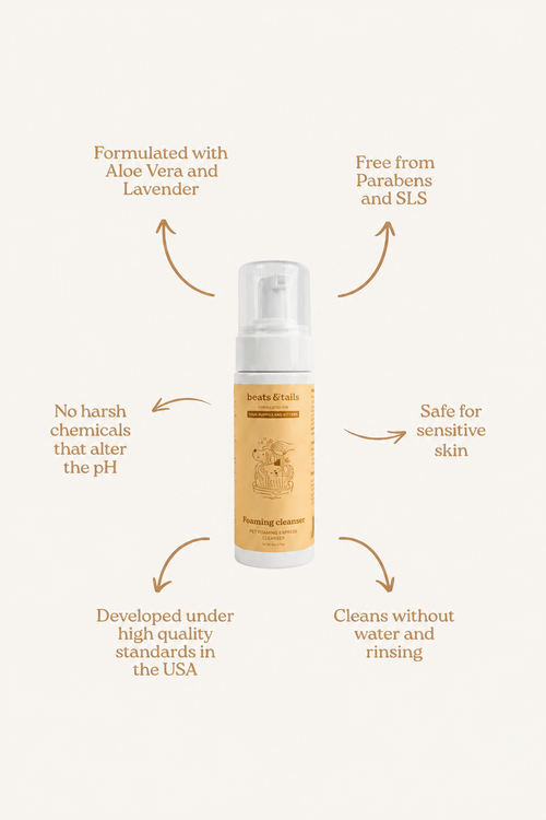 Foaming Cleanser