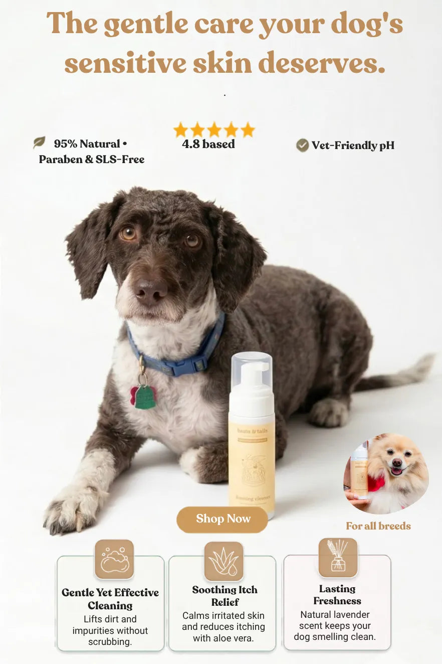 Foaming Cleanser