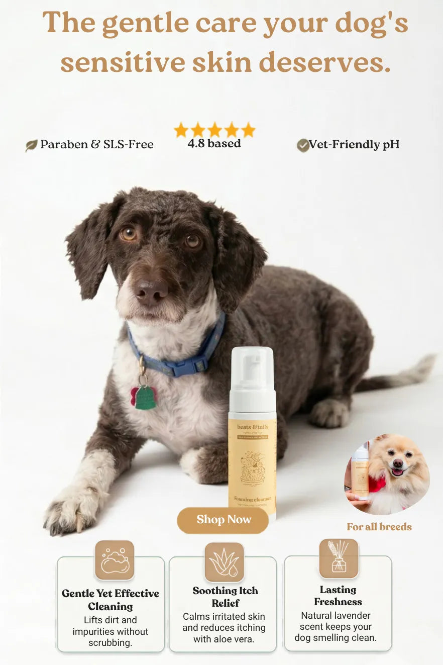 Foaming Cleanser