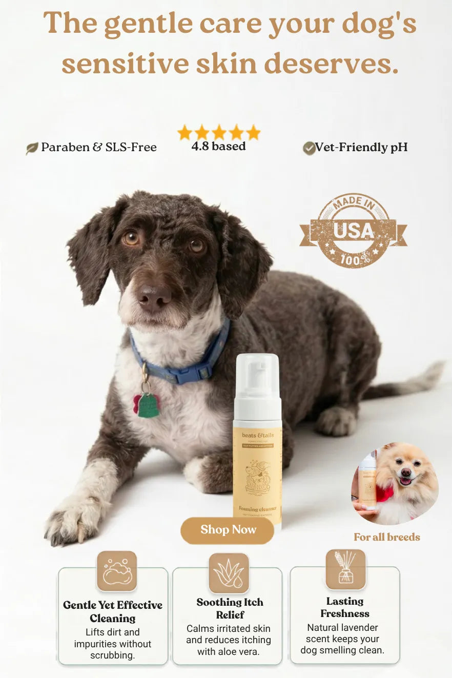 Foaming Cleanser