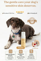Foaming Cleanser
