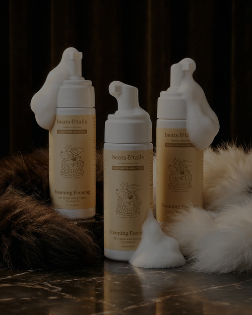 Pack X3 - Foaming Cleanser